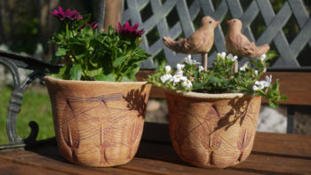 Lucie Polanská keramika pro dům a zahradu - modelovaný keramický květník