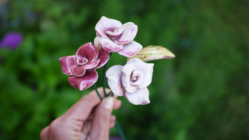 keramická růže malá růžová efekt lucie polanská2